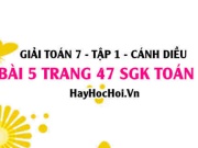 Giải bài 5 trang 47 Toán 7 Tập 1 SGK Cánh Diều